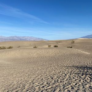 Meet your Posher, Disha